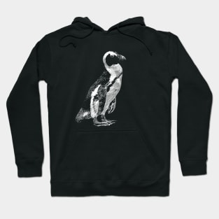 Penguin Hoodie